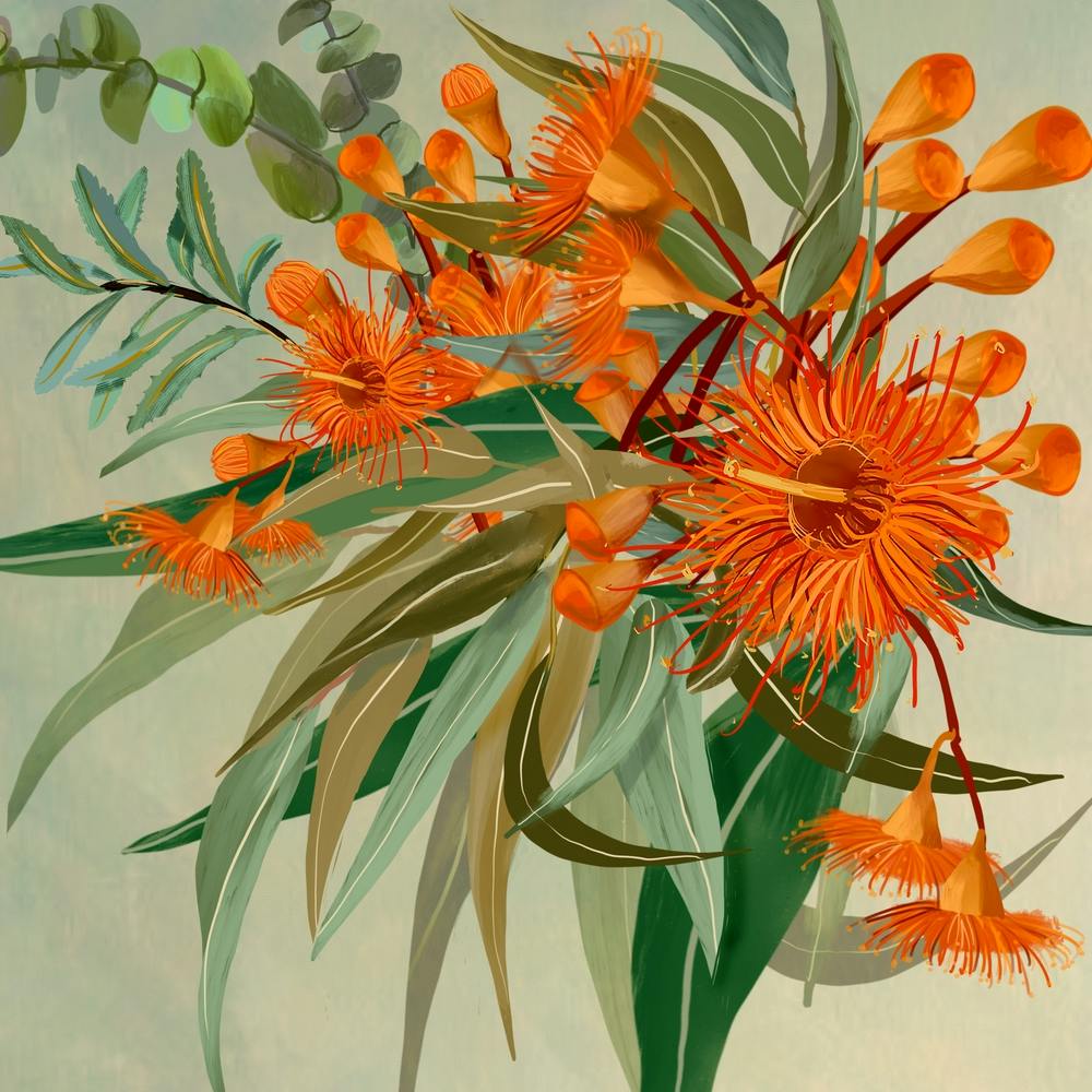 Orange Eucalypt Flowers And Leaves Square