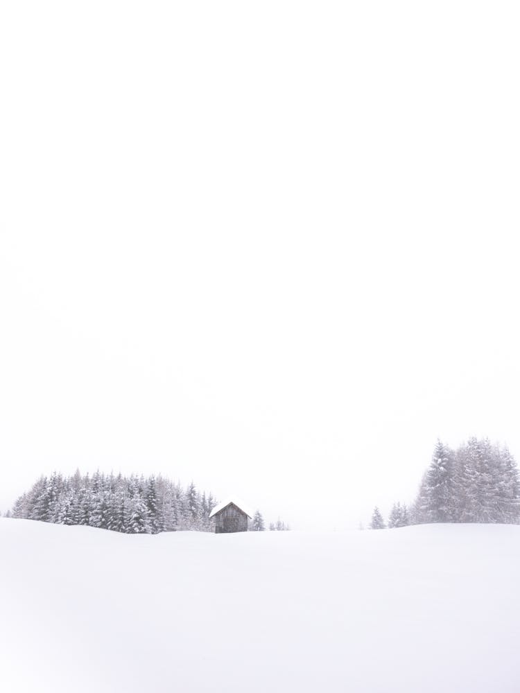 Snowy Landscape Minimal