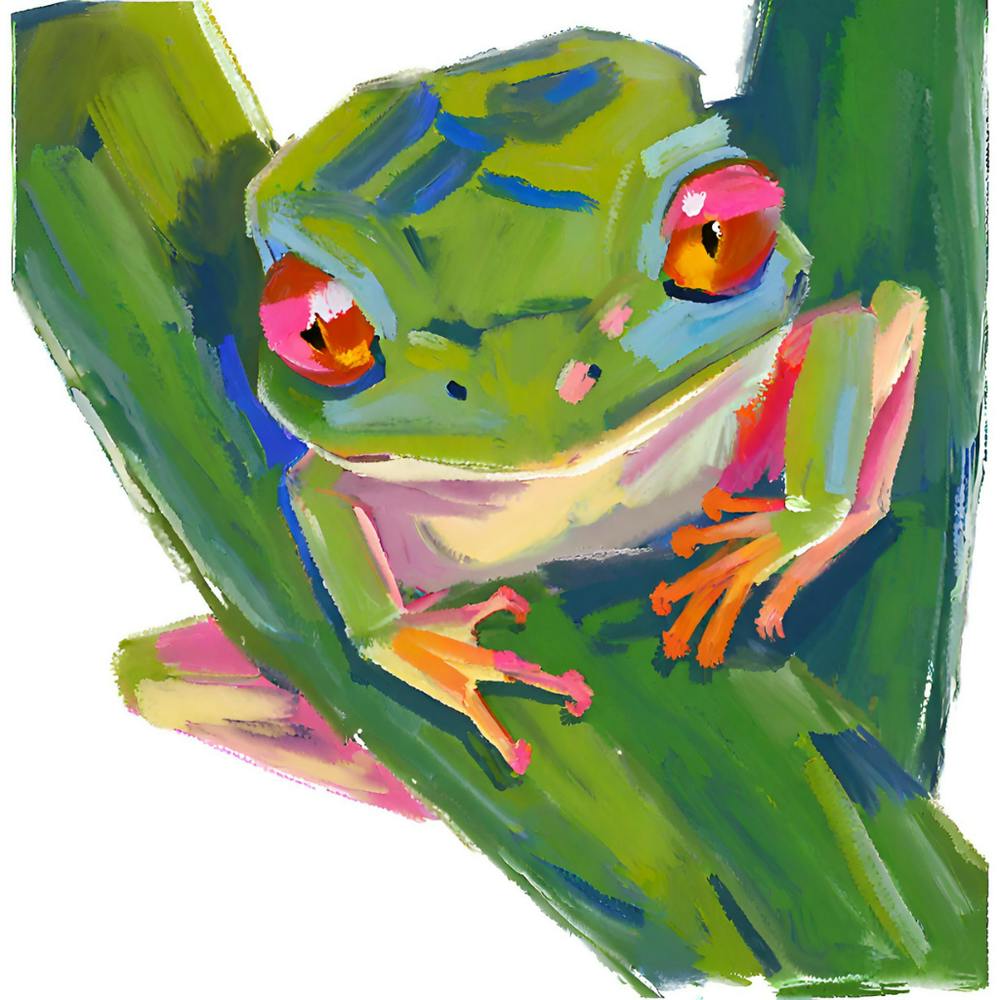 Red Eyed Tree Frog 07