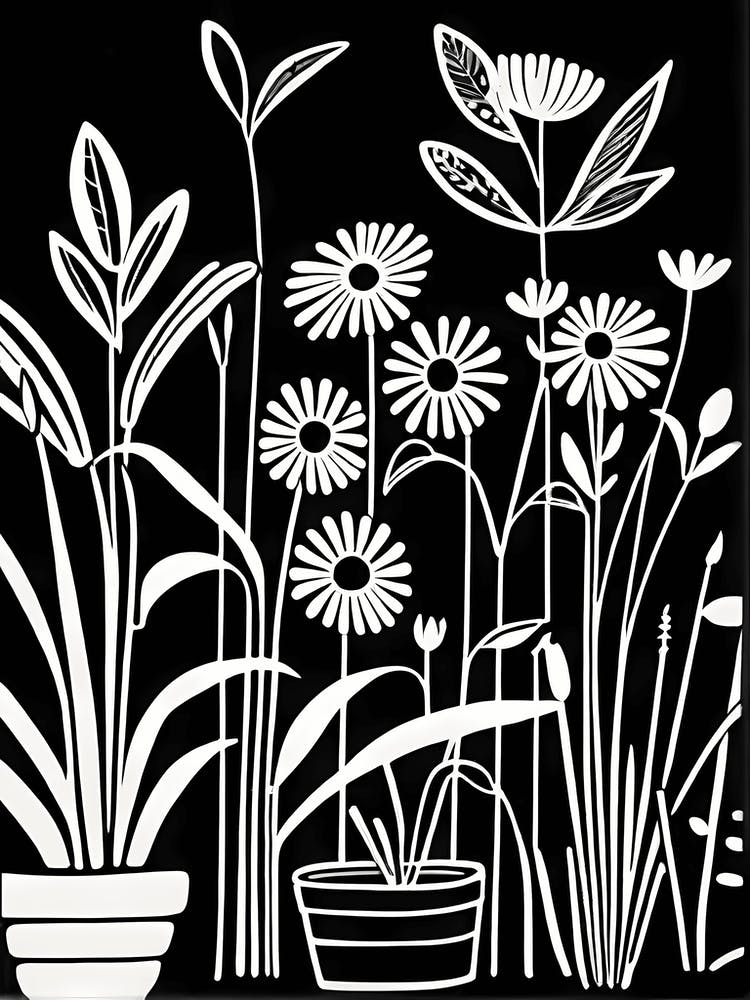 Lion cut inspired Black and white Garden plants & flowers art, Gardening art, 233