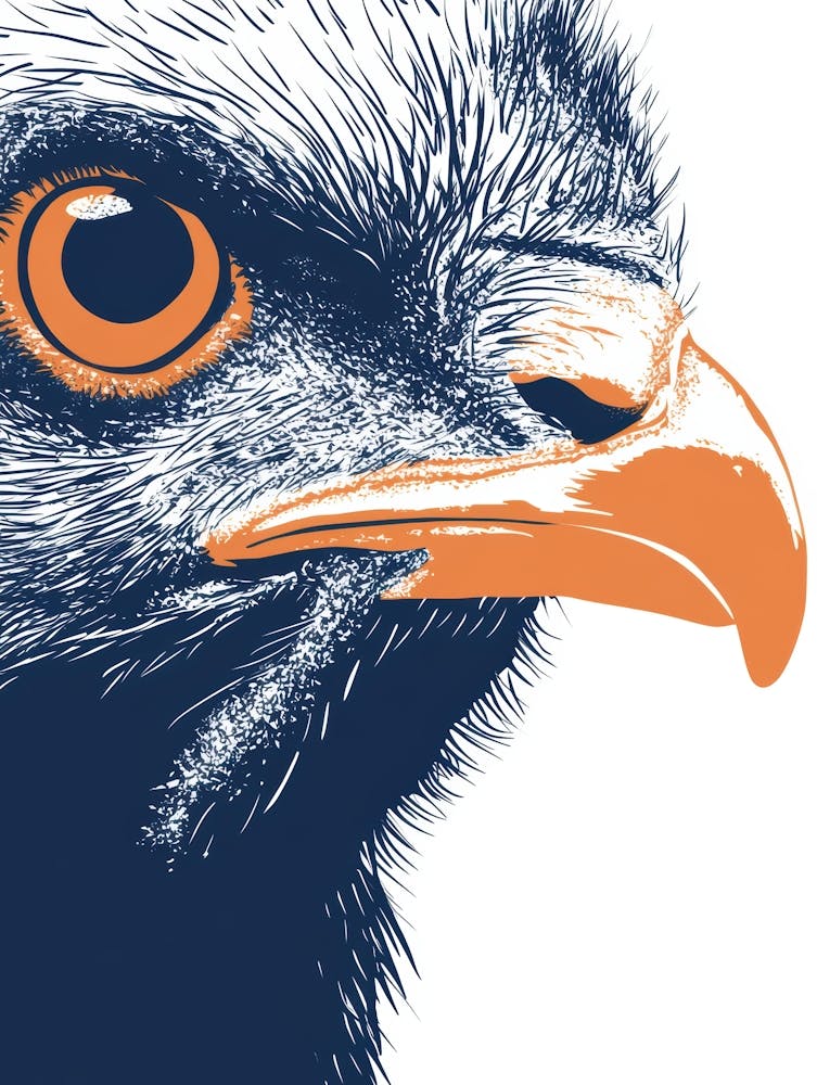 Adler 26