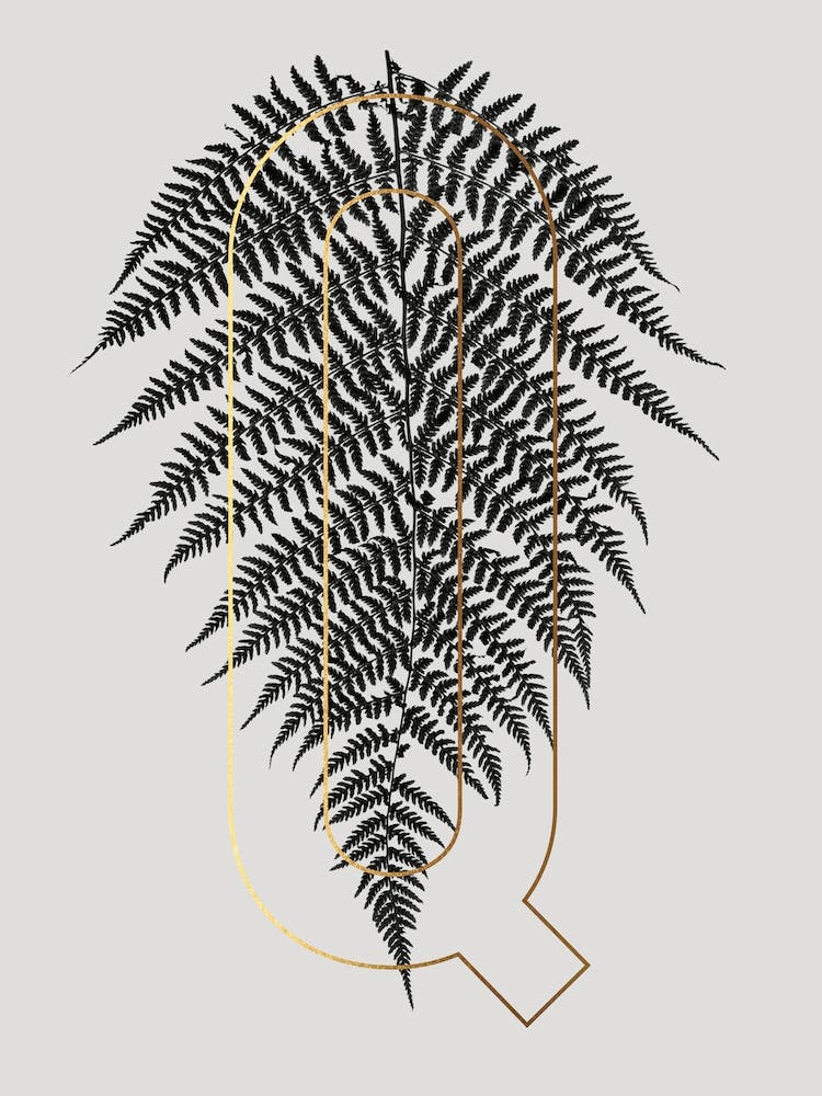Abc Plant Q