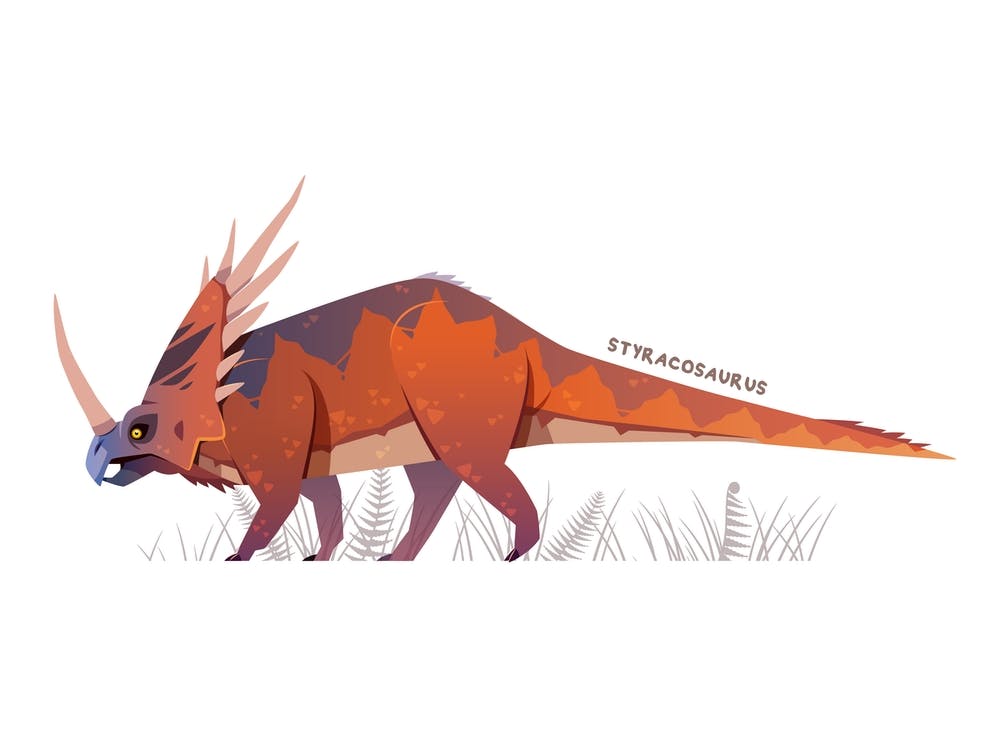 Styracosaurus Dinosaur
