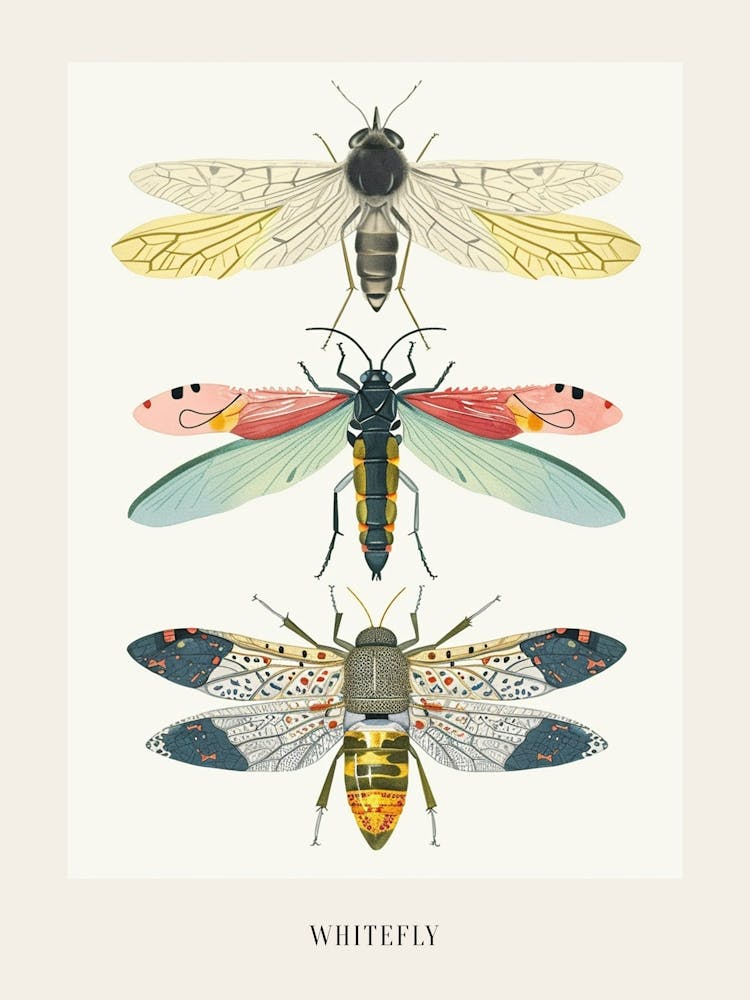Colourful Insect Illustration Whitefly 5 Poster