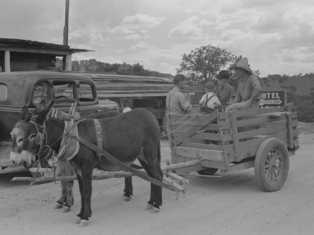 Burro Drawn Cart Of Mr, Leatherman, Pie Town, New Mexico By Russell Lee
