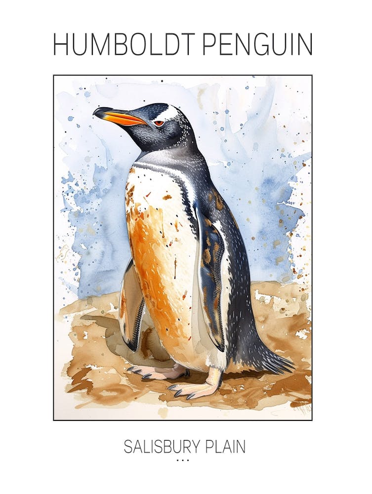 Humboldt Penguin Salisbury Plain Watercolour Painting 4 Poster