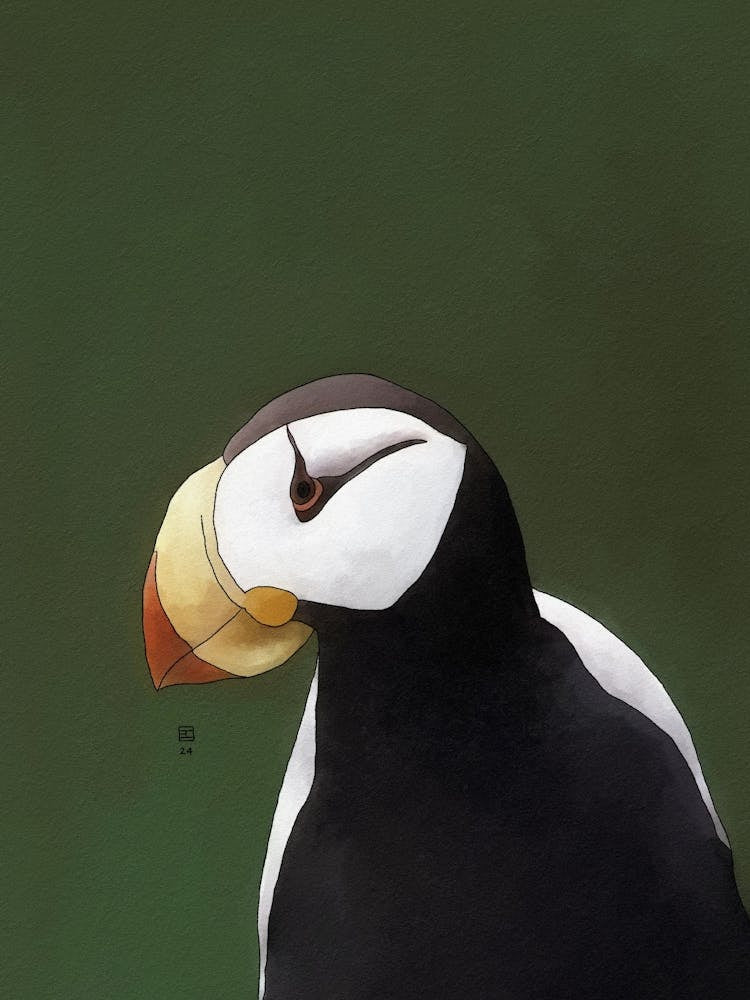 Horned Puffin