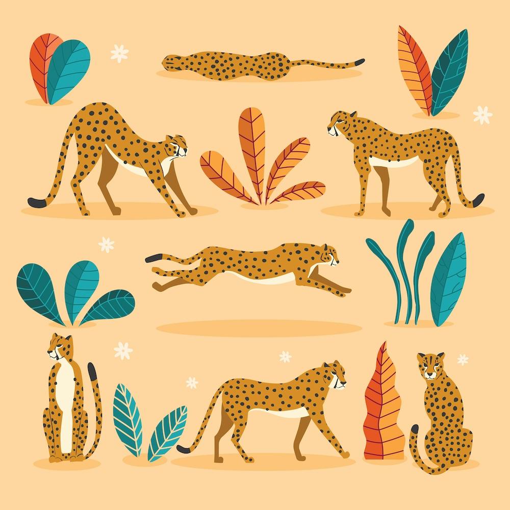 Cheetahs And Florals And Flowers On Beige Square