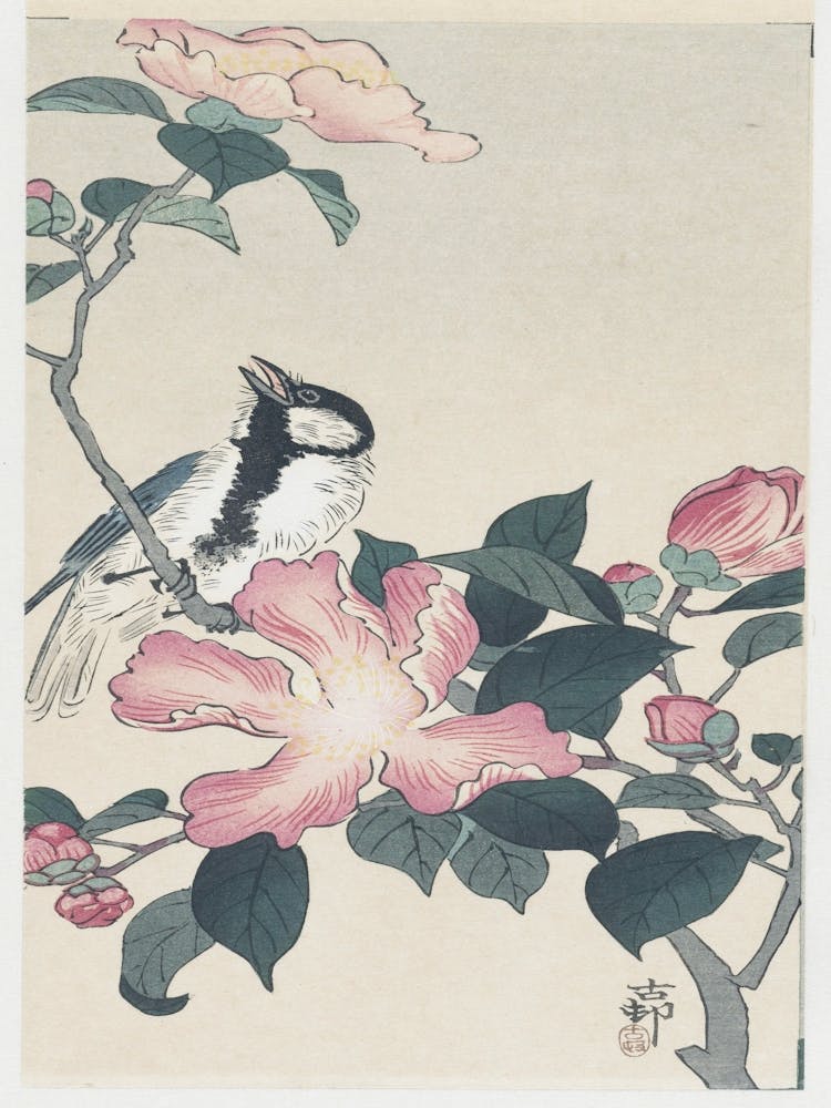 Vogel auf einer Blume