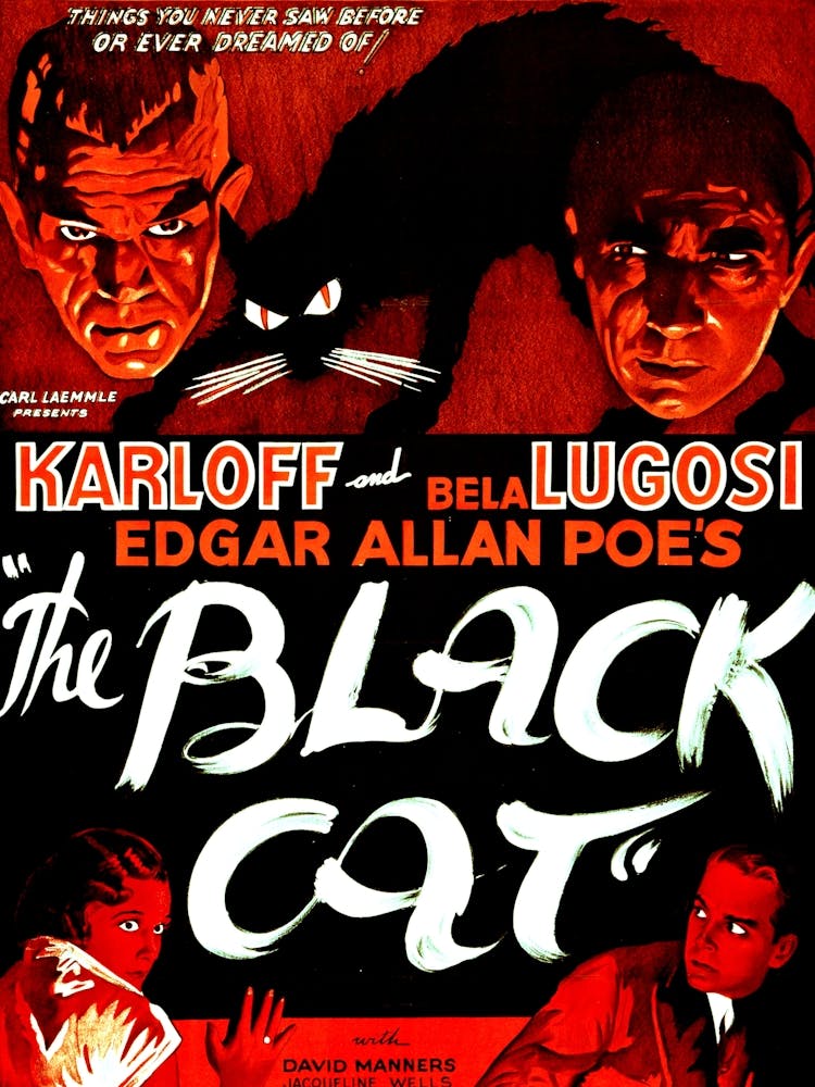 The Black Cat, Bela Lugosi And Boris Karloff, Horror Movie Poster, Edgar Allan Poe Story, 1934