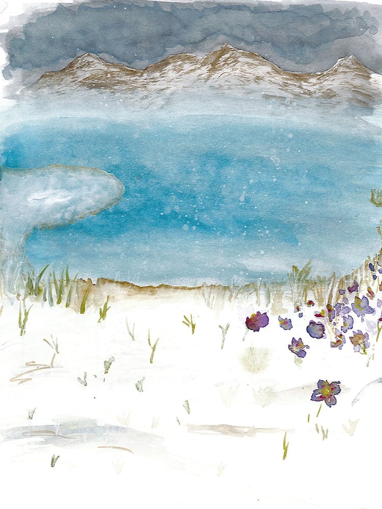 Rustic Winter