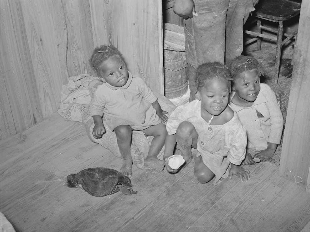 Children Of Wokers Living On Strawberry Farm And Who Do Odd Jobs Connected With The Farm And Strawberry Growing