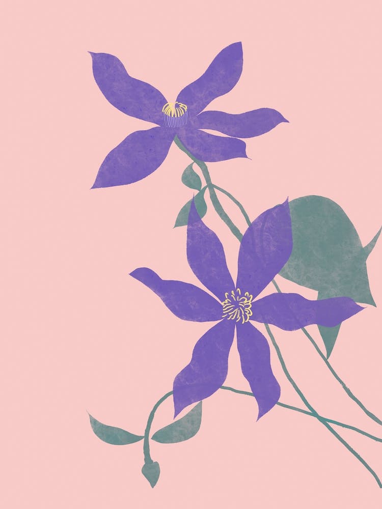 Abstract Purple Flower