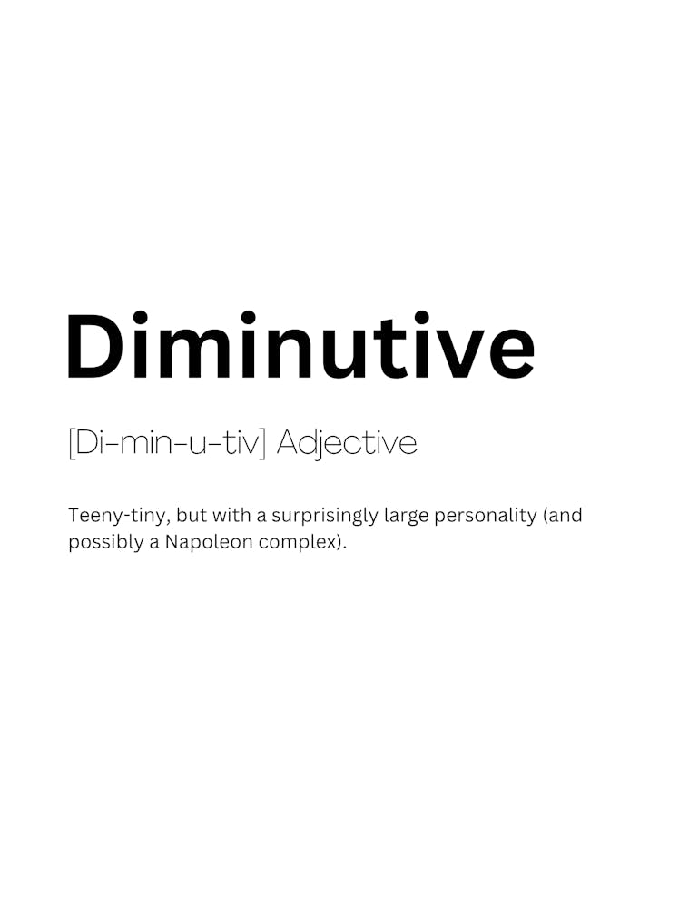 Diminutive Definition Meaning 1