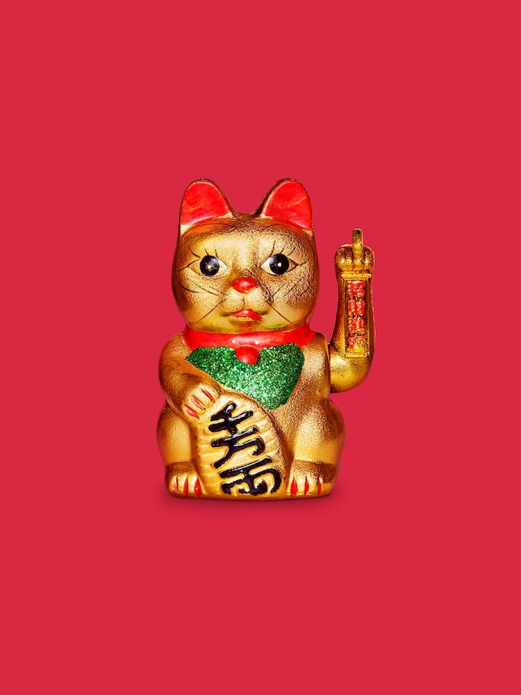 Lucky Cat