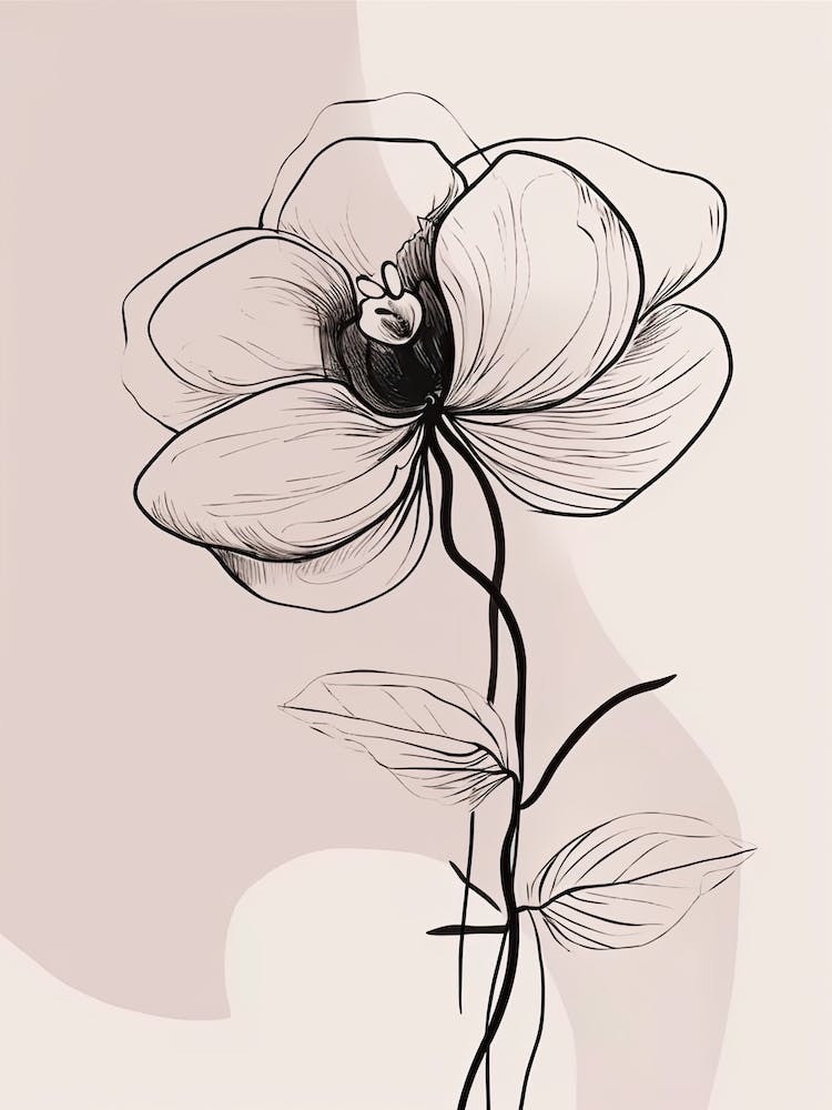 Strichkunst Orchideen Blumen Illustration Neutral 16