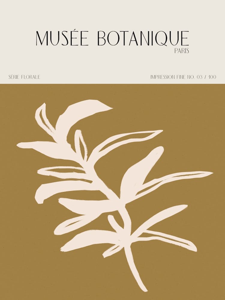 Musee botanique no 40