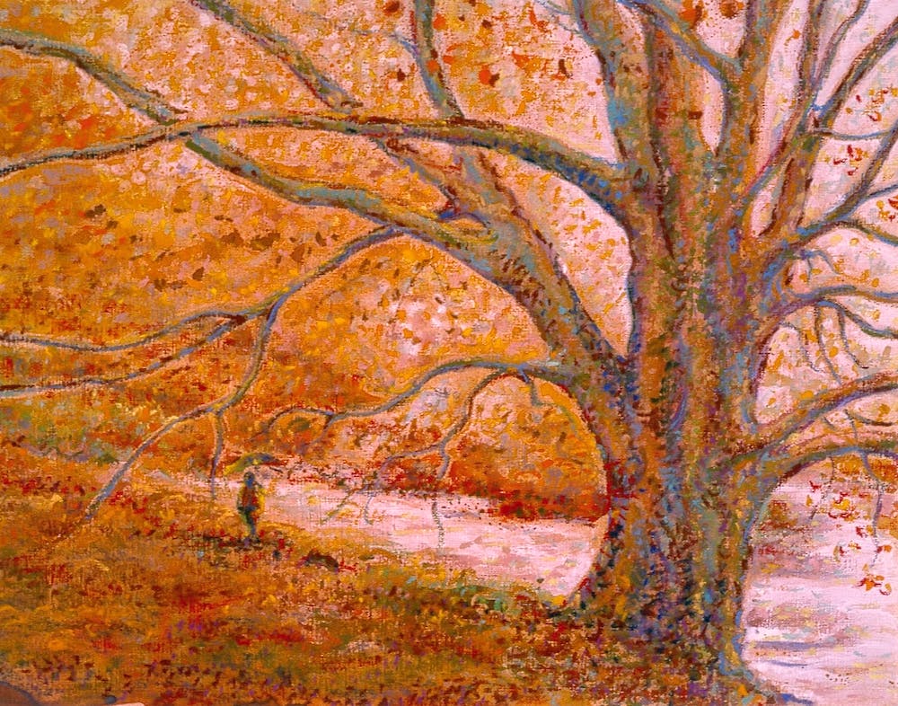 Walking on Autumn colours