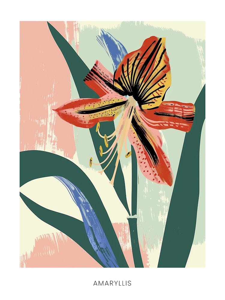 Colourful Flower Illustration Poster Amaryllis 1