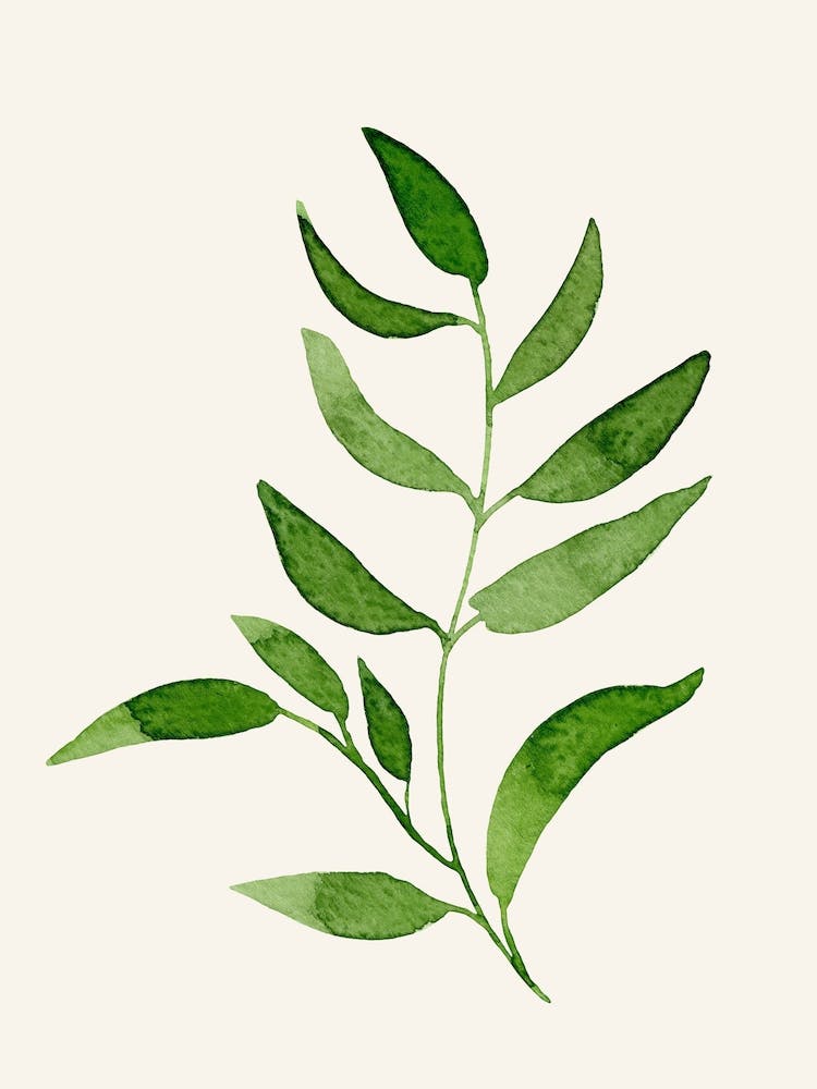Juicy Green Leaves