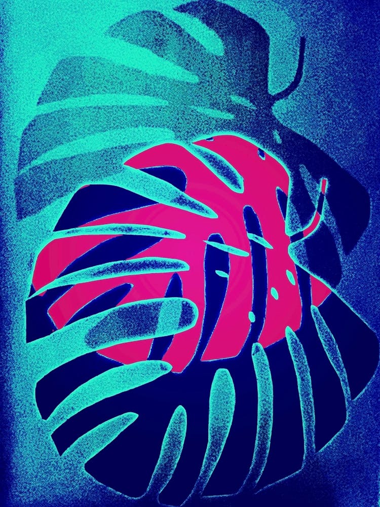 Blue turquoise pink monstera