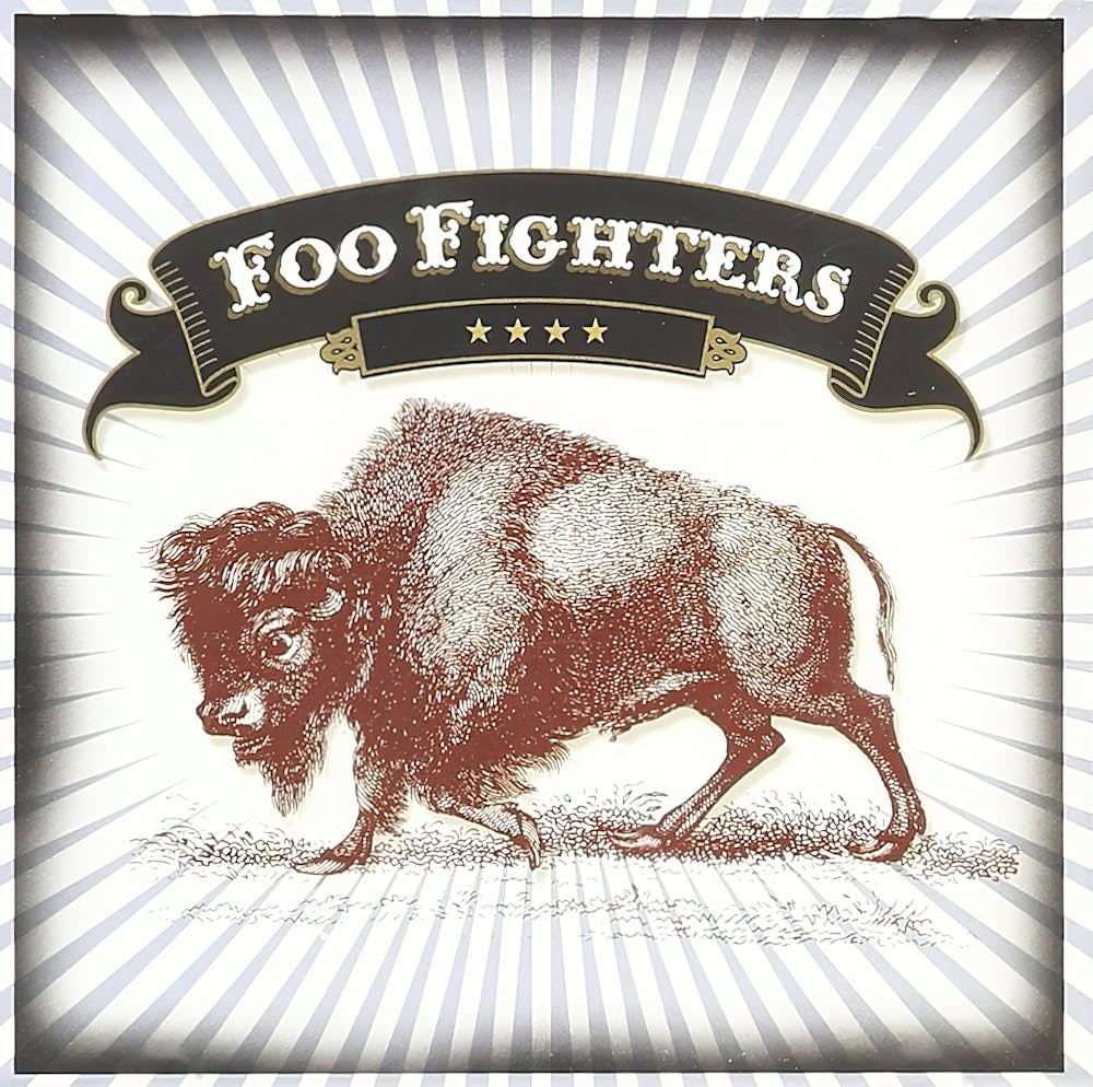 Foo Fighter Album (21)