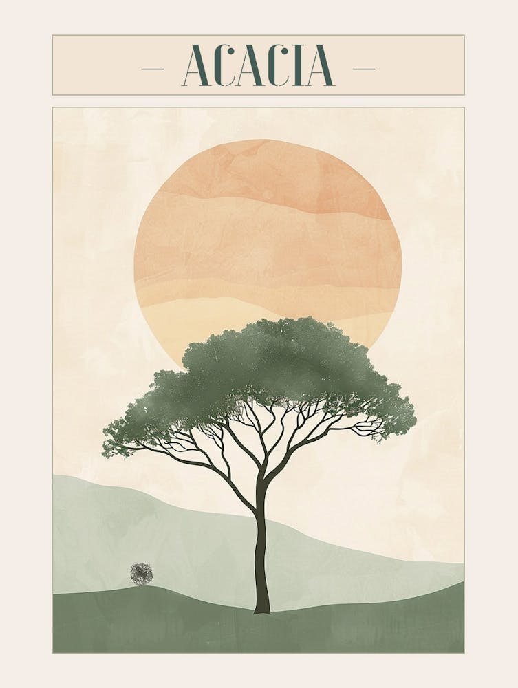 Acacia Tree Minimal Japandi Illustration 3 Poster