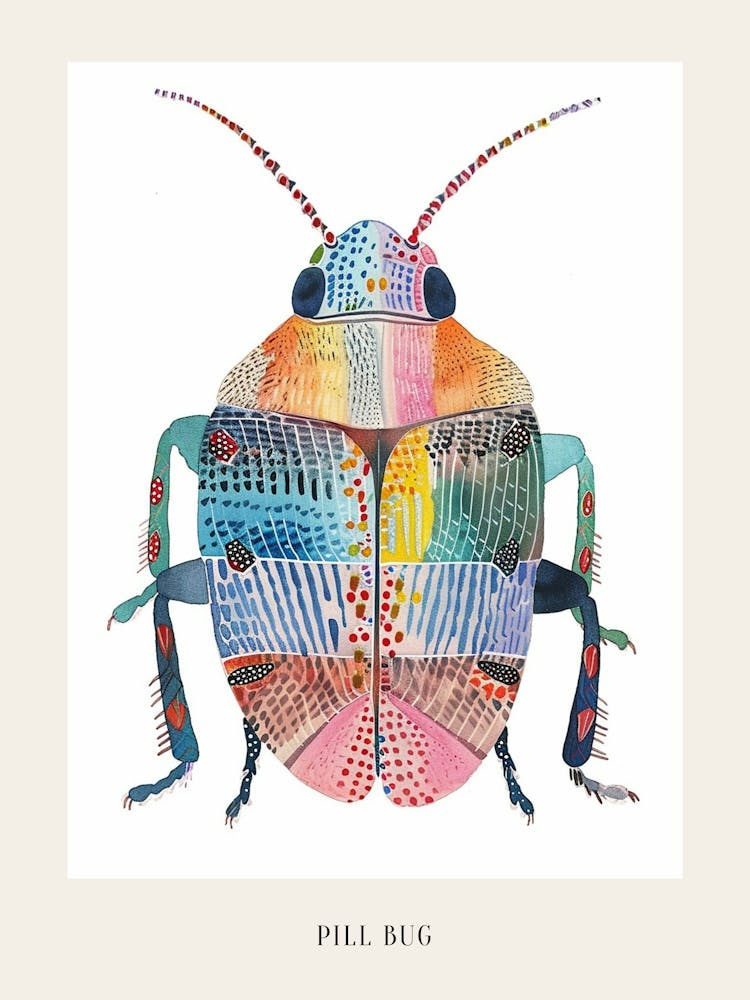 Colourful Insect Illustration Pill Bug 15 Poster