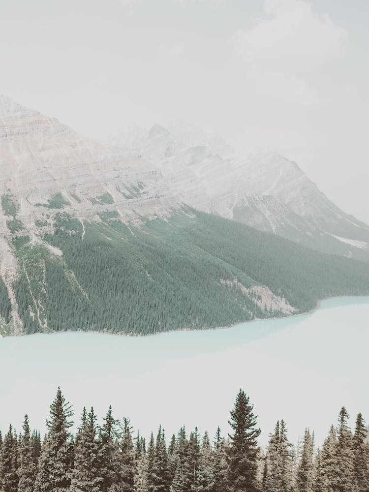 Canadian Mountain Lake