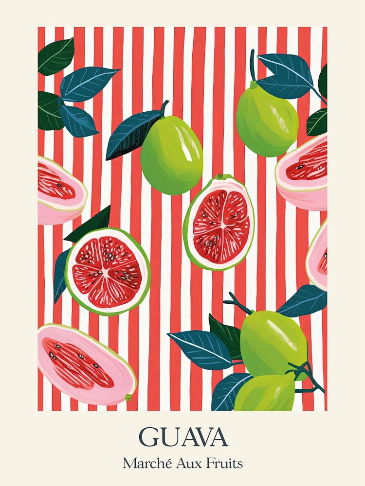 Marche Aux Fruits Guava Fruit Summer Illustration 3