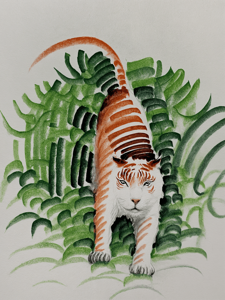 Tiger Sketch