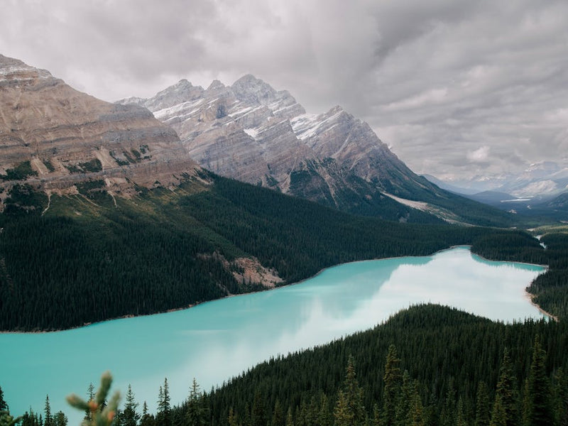 Peyto Lake Banff National Park Alberta Canada