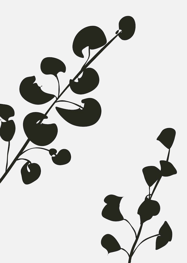 Abstract Botanical Black and Beige Art 16