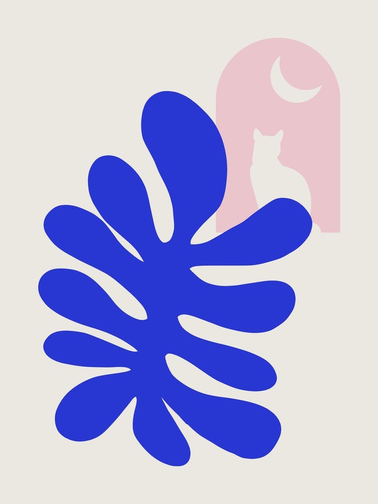 Fern, Cat And The Moon