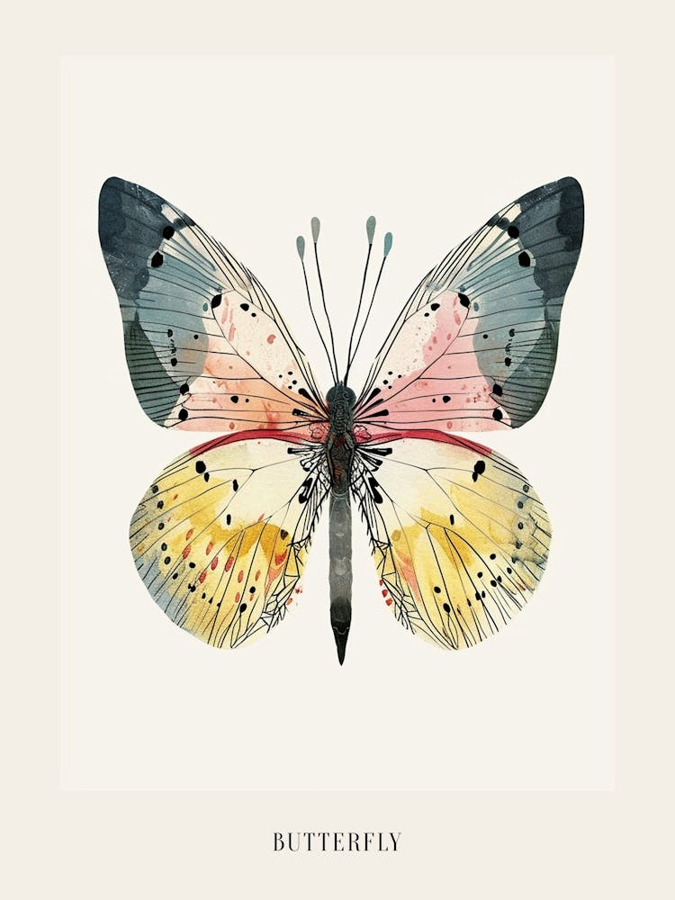 Illustration Colorée d'Insecte Papillon 30 Affiche
