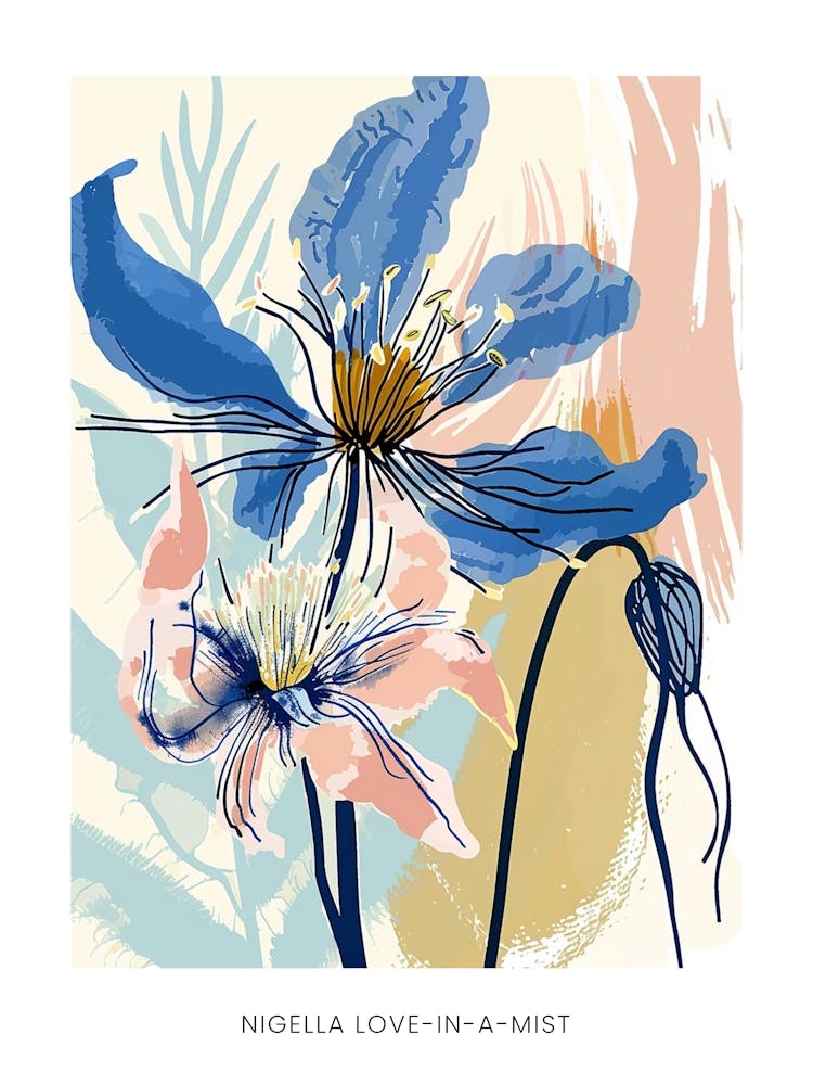 Colourful Flower Illustration Poster Nigella Love In A Mist 2