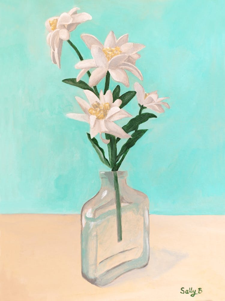 Elderweiss In Bottle