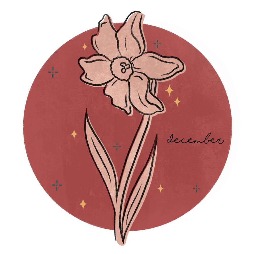 December Birth Flower