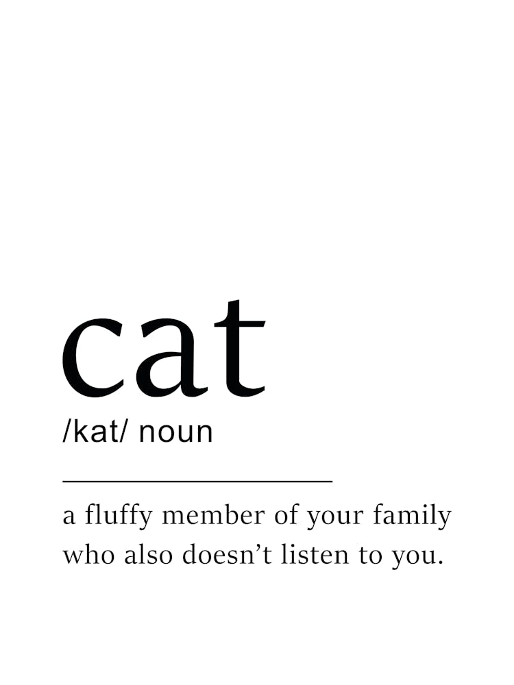 Cat Definition Poster - Dictionary