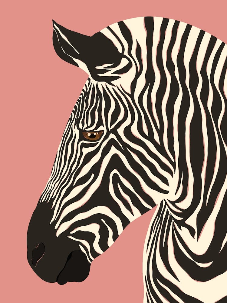 Jungle Safari Zebra on Pink