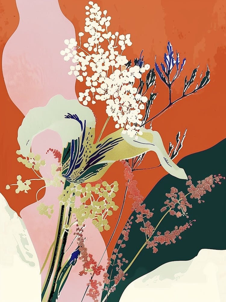 Colourful Flower Illustration Gypsophila 2