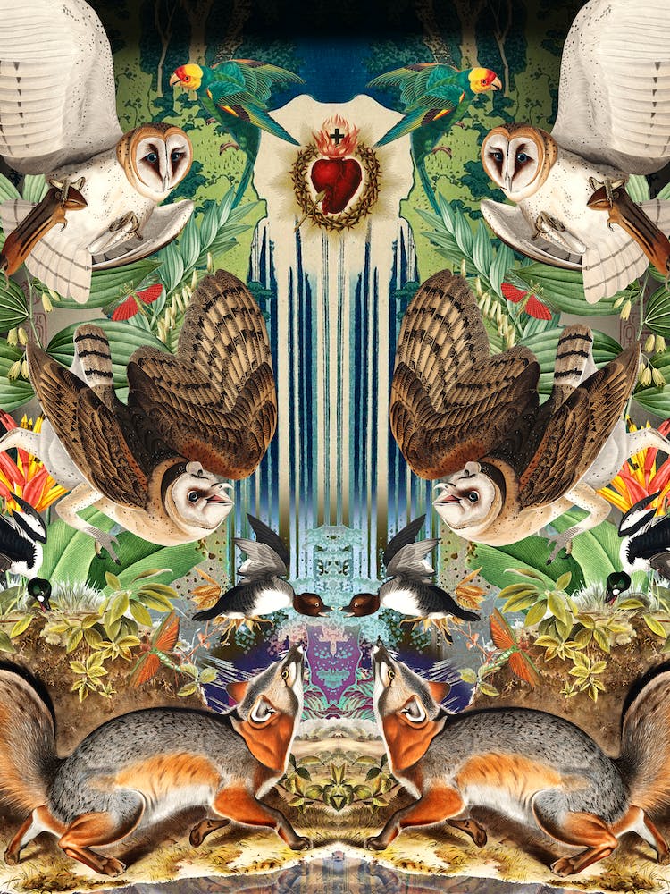Owls In The Forest
