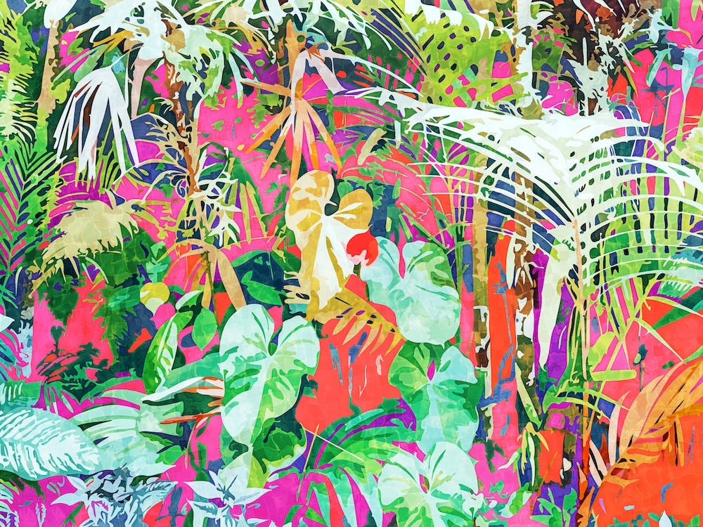 Find Me Where The Tropical Things Are