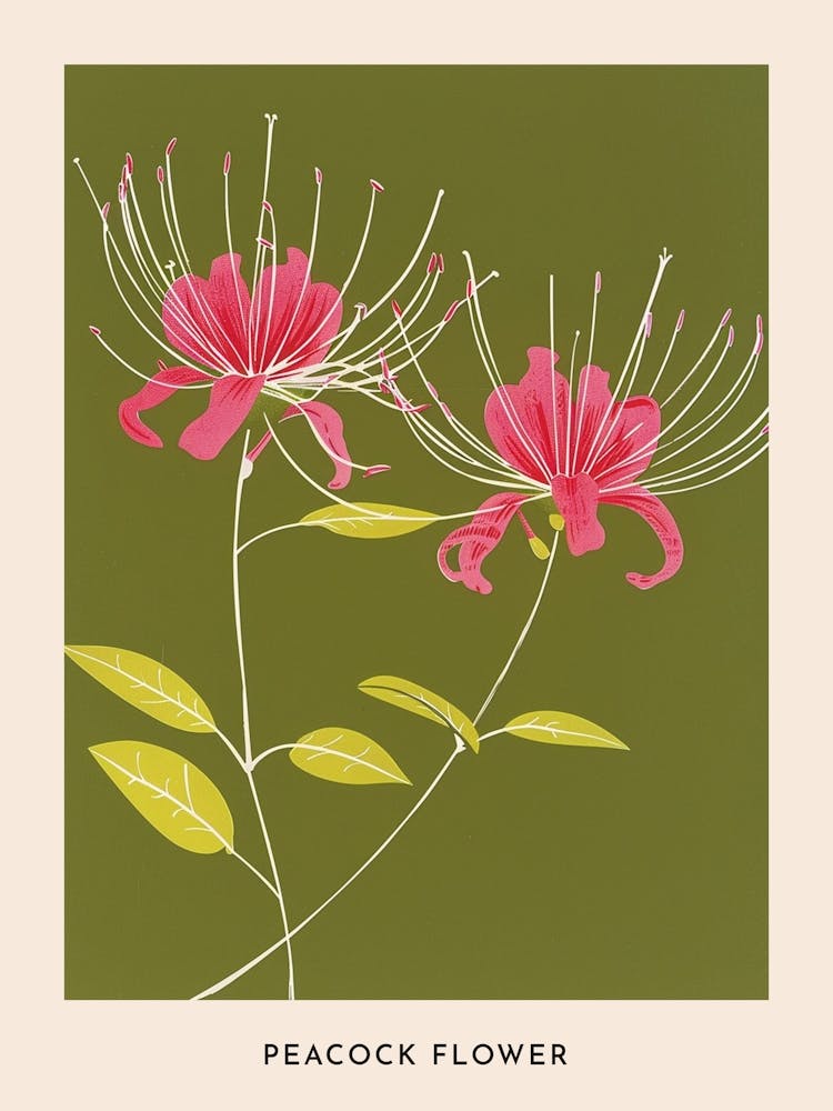 Pink & Green Peacock Flower 1 Flower Poster