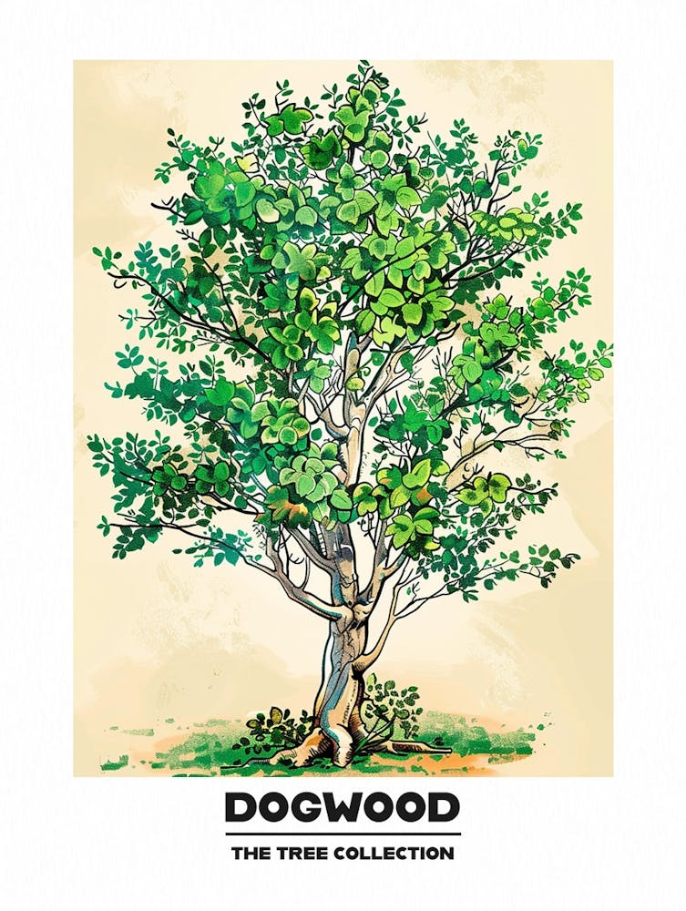 Dogwood Tree Storybook Illustration 2 Poster