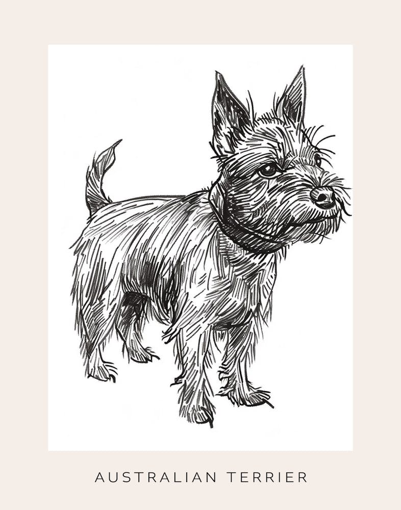 Australian Terrier Line Sketch 4 Poster