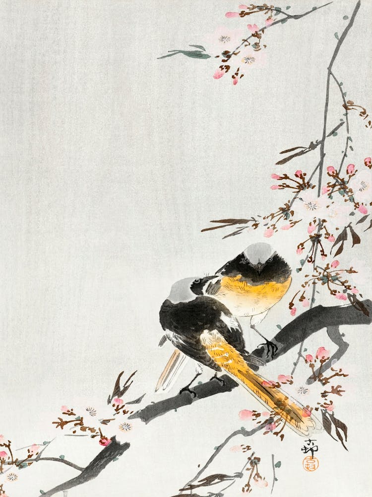 Two Sable Red Tails With Cherry Blossom (1900 1936), Ohara Koson