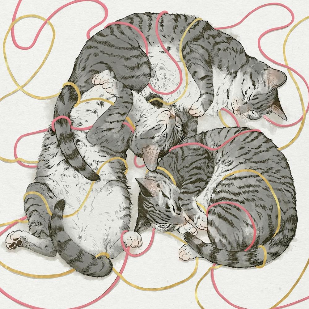 Sleeping Cats