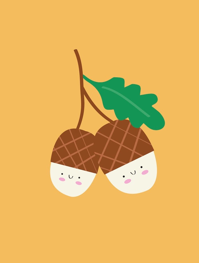 Acorns