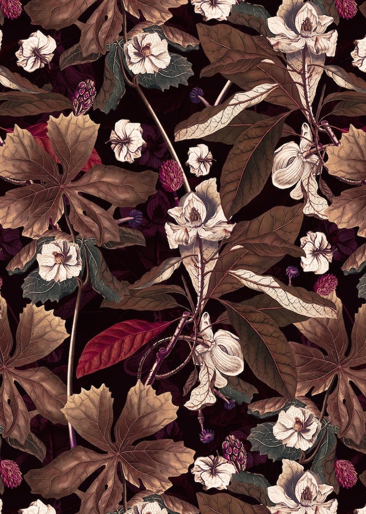 Winter Botanical Garden 2